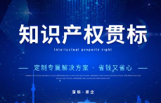 知识产权贯标